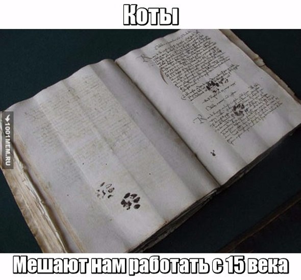 Мохнатые беспредельщики