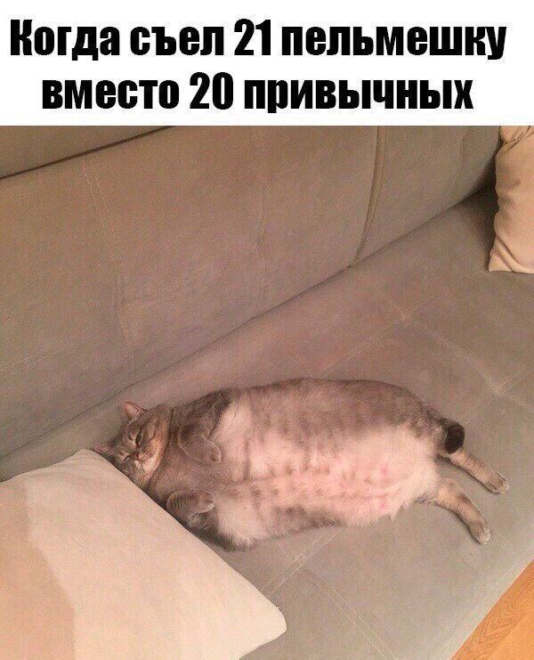 Подборка картинок