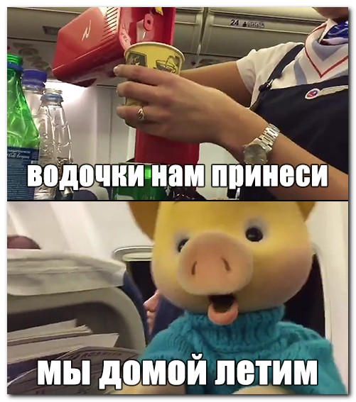 Давеча с Хрюшей летел в самолете