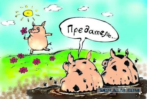Я искренне верила в то, что хорошо знаю Америку. До тех пор, пока не побывала в Диснейленде