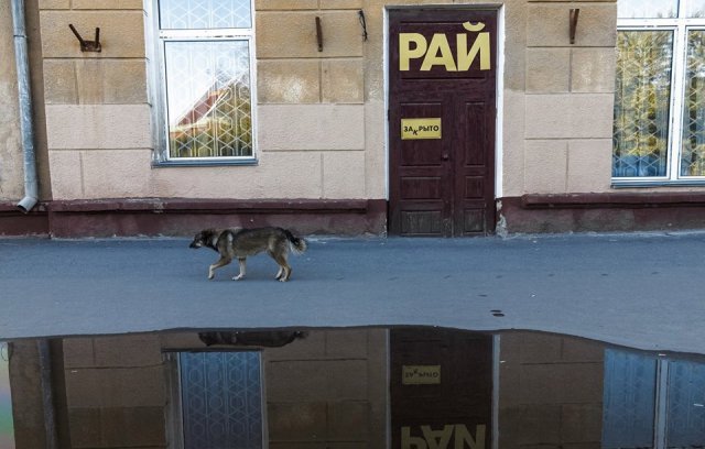 Депрессняк на понедельник