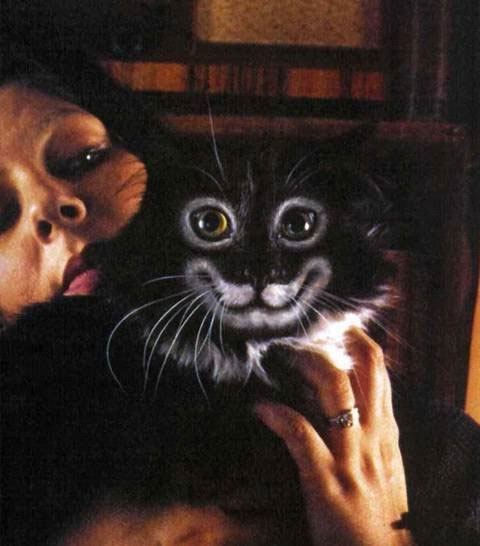 Кошак в шоке