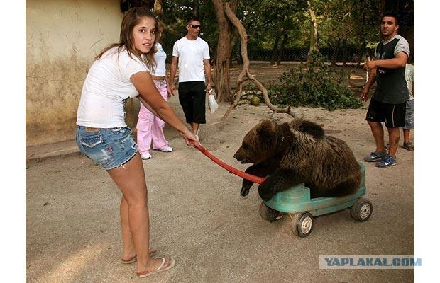 Зоопарк для смелых (16 фото)