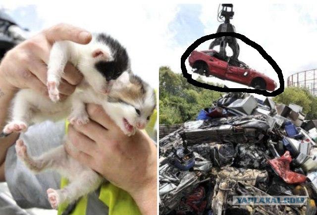 В машине, которую хотели разрезать на металлолом