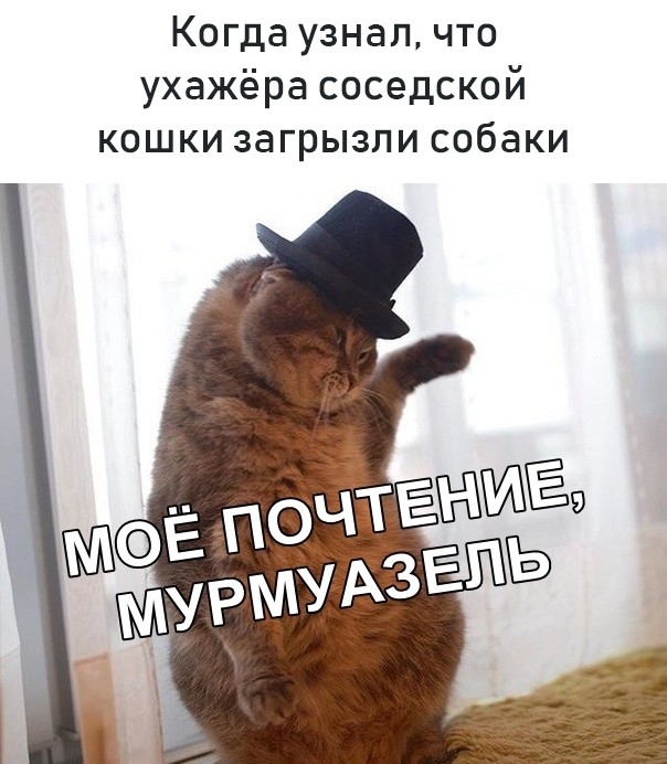 Деградируем своими руками