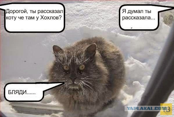 На Украине начались президентские выборы