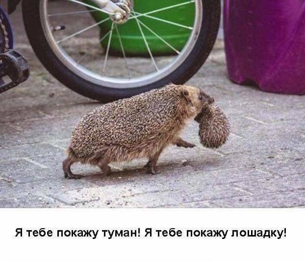 Найди себе женщину, говорили они