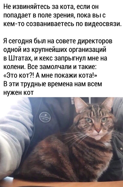 Пара-пара-пам! Фьють! 04.04.20