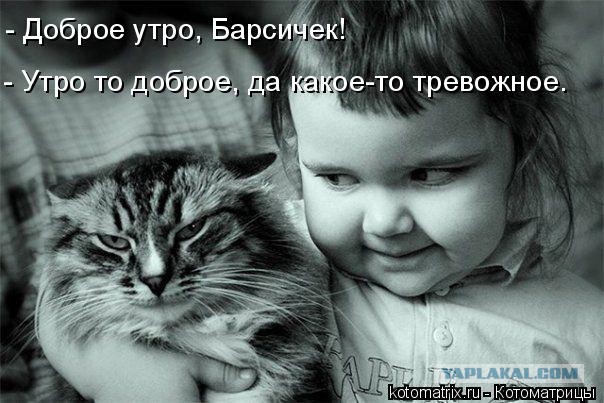 Мужчины научились жить одни. Женщин это сильно злит