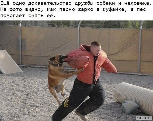 Едрить - колотить!