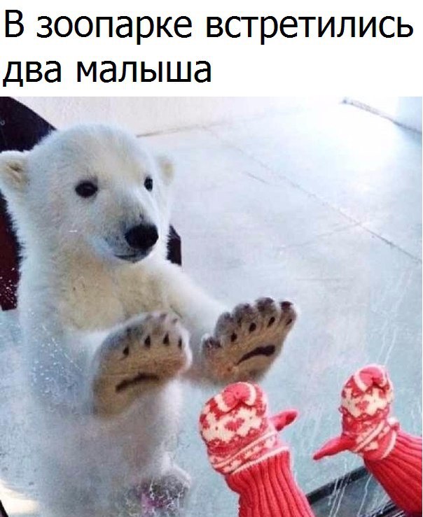 Картинки и мемы для настроения 002