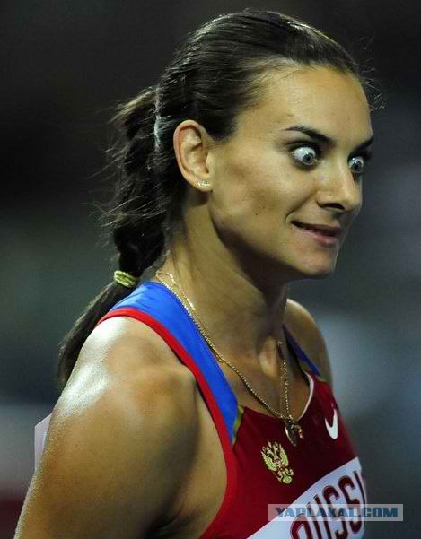 Побег из вольера