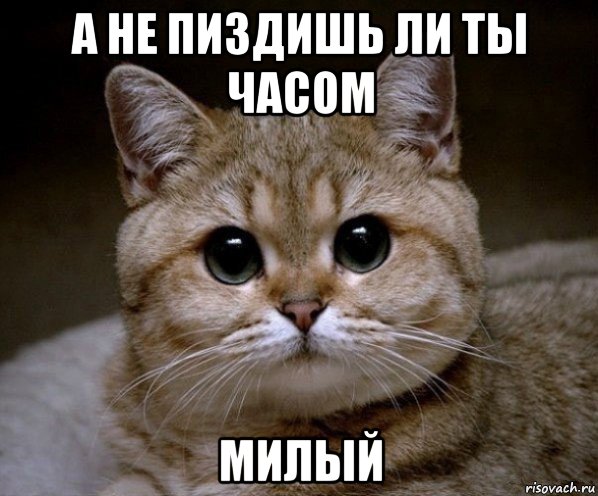 Не жалею, не зову, не плачу...©