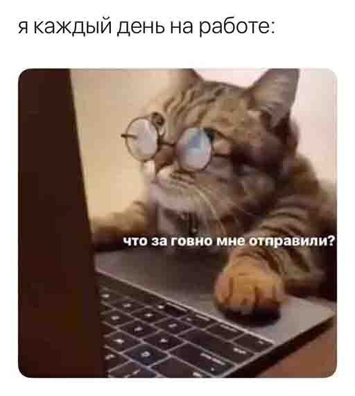 Баянисто-небаянистый юмор 27.01.22