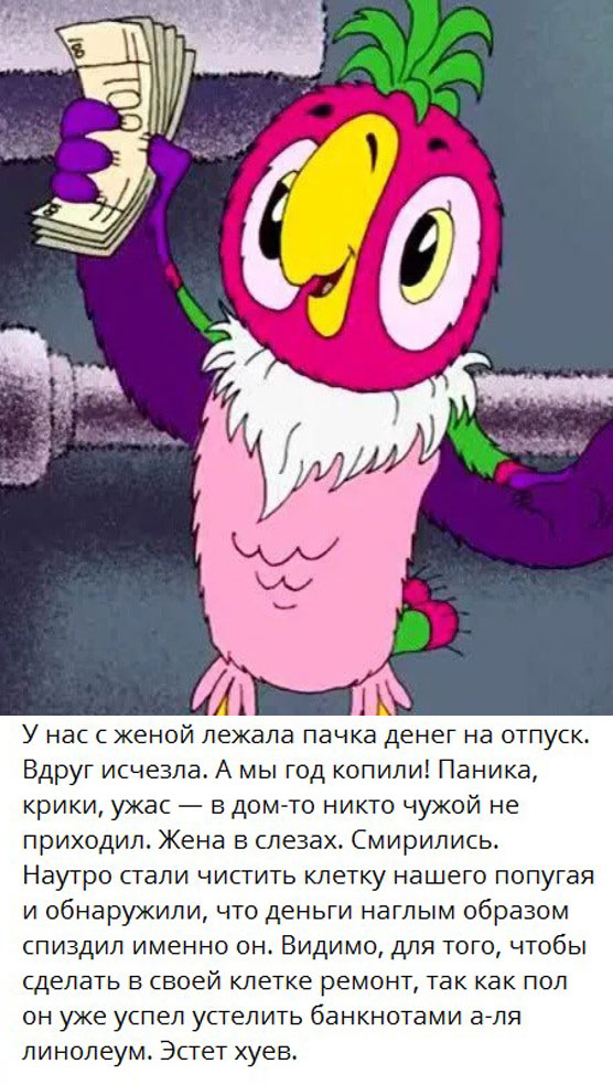 Попугай Кеша В Наушниках