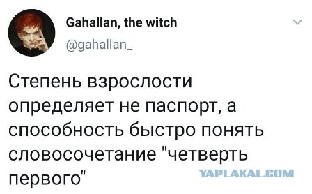 Так себе картинки 10.01.23
