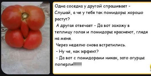 Победная поступь идиотизма по планете – том 7