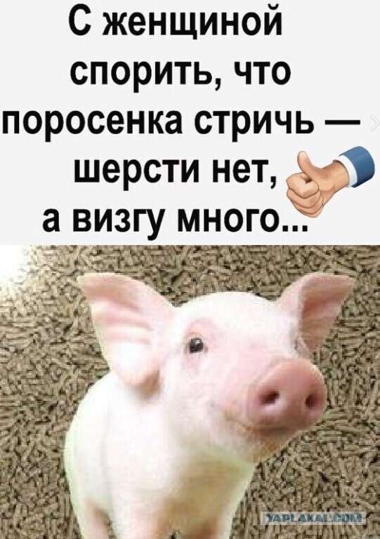 Разножанровые картинки. Без определённого смысла.