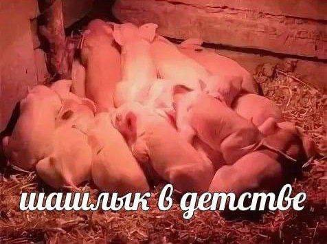 Всего понемногу. От 02.08.24