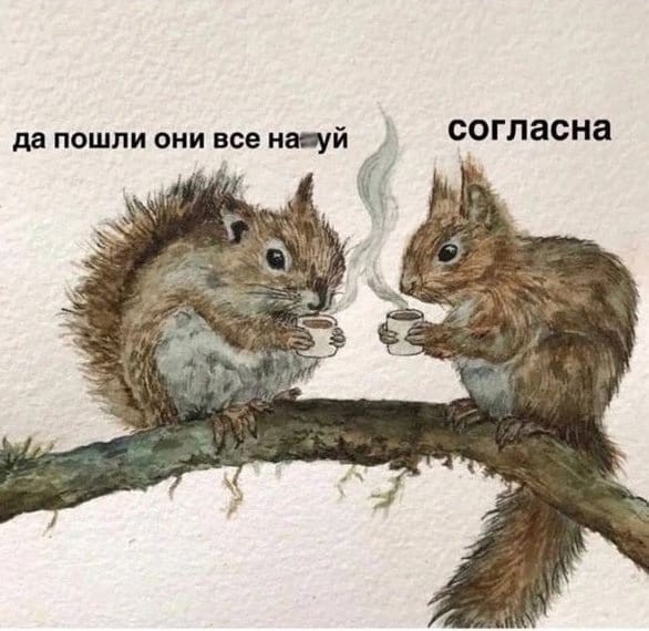 Весёлый полтишок 23.01.25