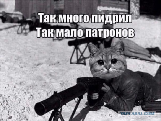 Картинки не для всех