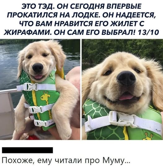 Веселые картинки в понедельник (10.02)