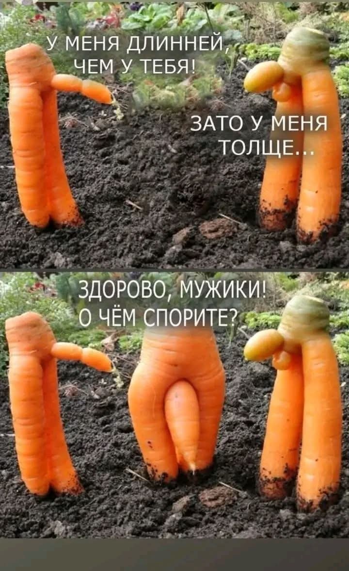 https://s00.yaplakal.com/pics/pics_original/7/1/1/20060117.jpg