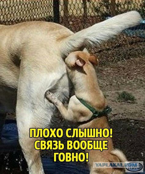 Связь
