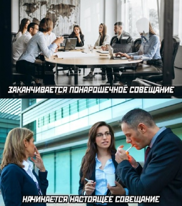 Весёлый полтишок 08.09.25