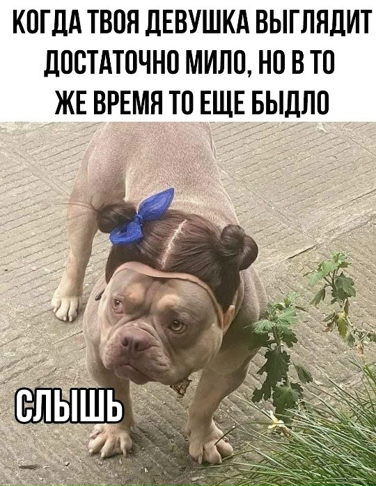 Октябрь, день десятый …