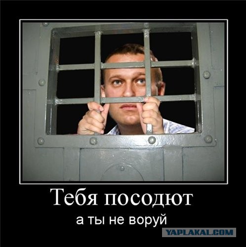 Последнее слово Навального