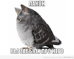 Еще раз о граммар наци