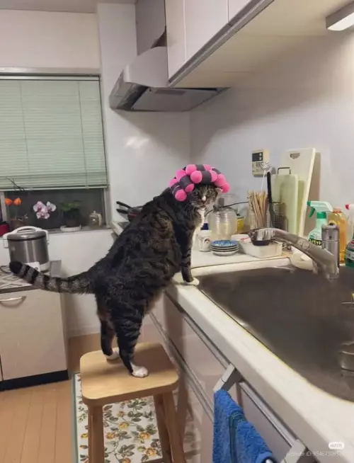 Картиночки, баянчики 17 февраля