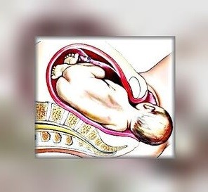 Цветы жизни⁠