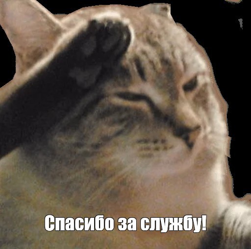 С Днём Спецназа