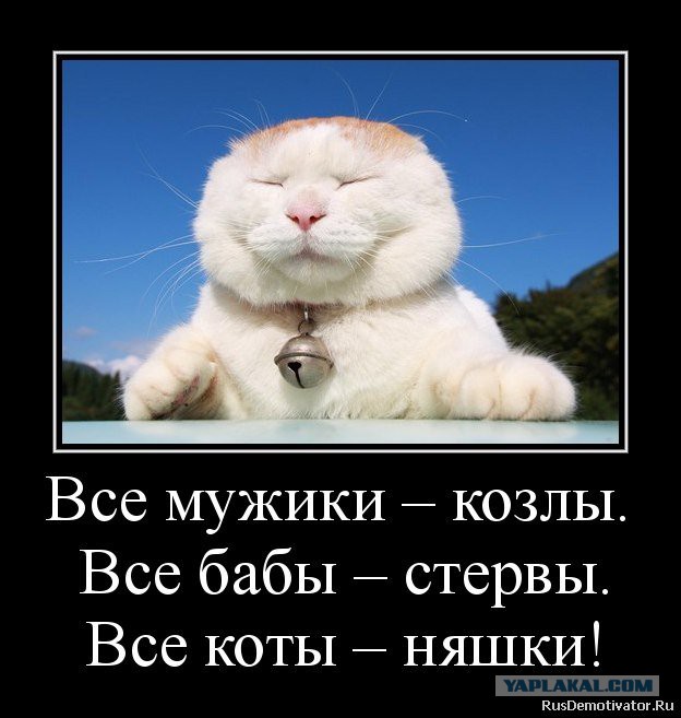 Новая жизнь