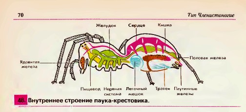 Жена обнаружила на даче ЧУДОВИЩЕ