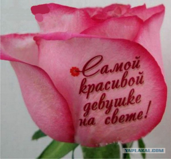 Интрига! Угадай девочку ЯПа!