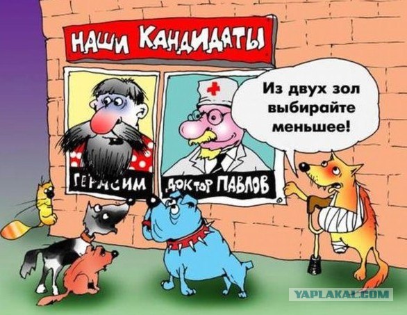 Такая вот свобода выбора!