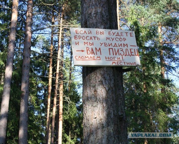 Надписи, вывески, объявления и другие буквы