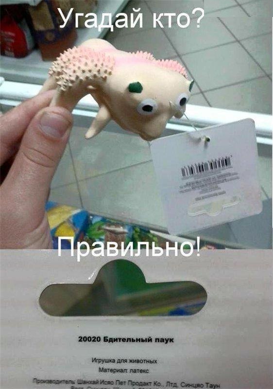 Веселые картинки