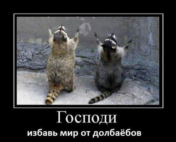 Картинки и приколы из соцсетей