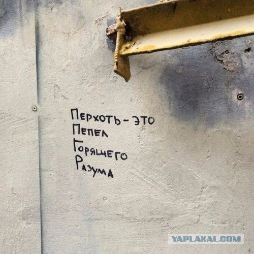 Картинки разные с просторов