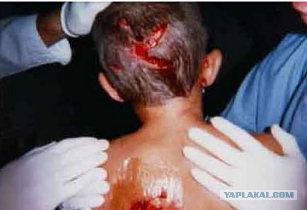 Этот огромный хаски старался быть невозмутимым