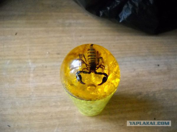 ЯПушка помоги опознать. Что это и откуда