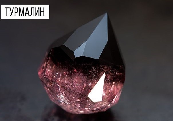 Интересные и веселые картинки