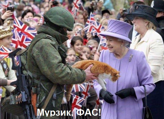 Котика не возьмёте?