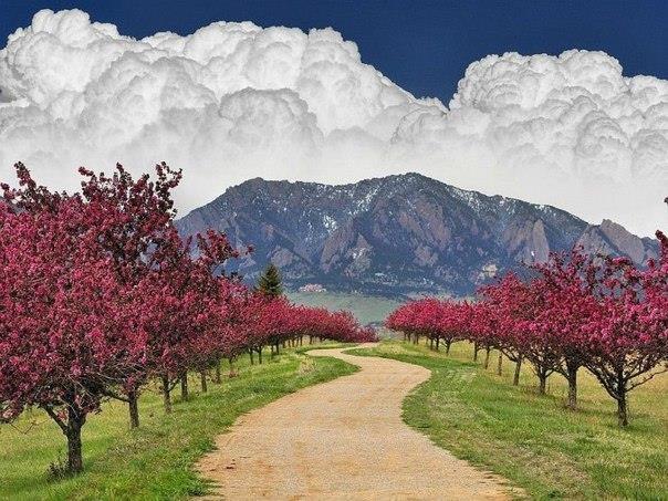 Фотографии из самых разных уголков планеты которые захватывают дух.