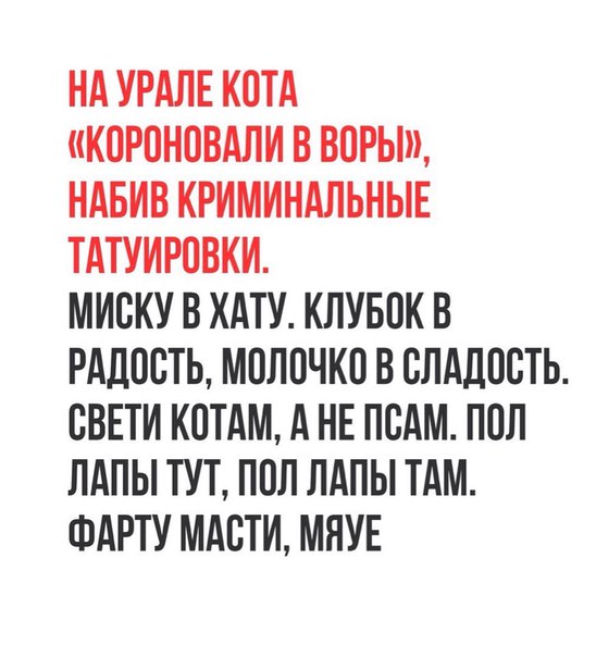 Картинки с надписями. Поулыбаться.
