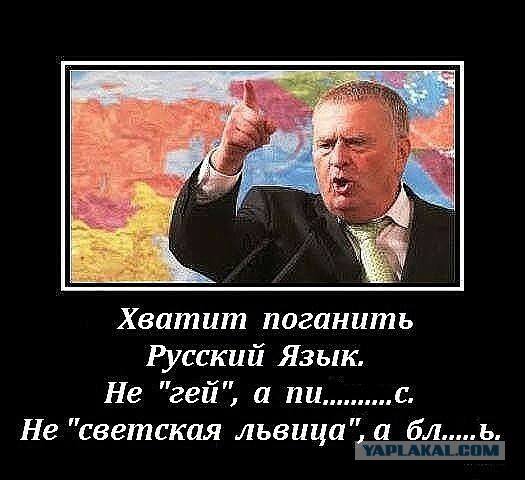 Толерантность, с*ка